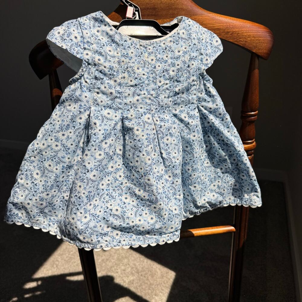 Joie Baby Girls Blue Floral Cotton Dress 18M Lined Short Sleeve Cottagecore